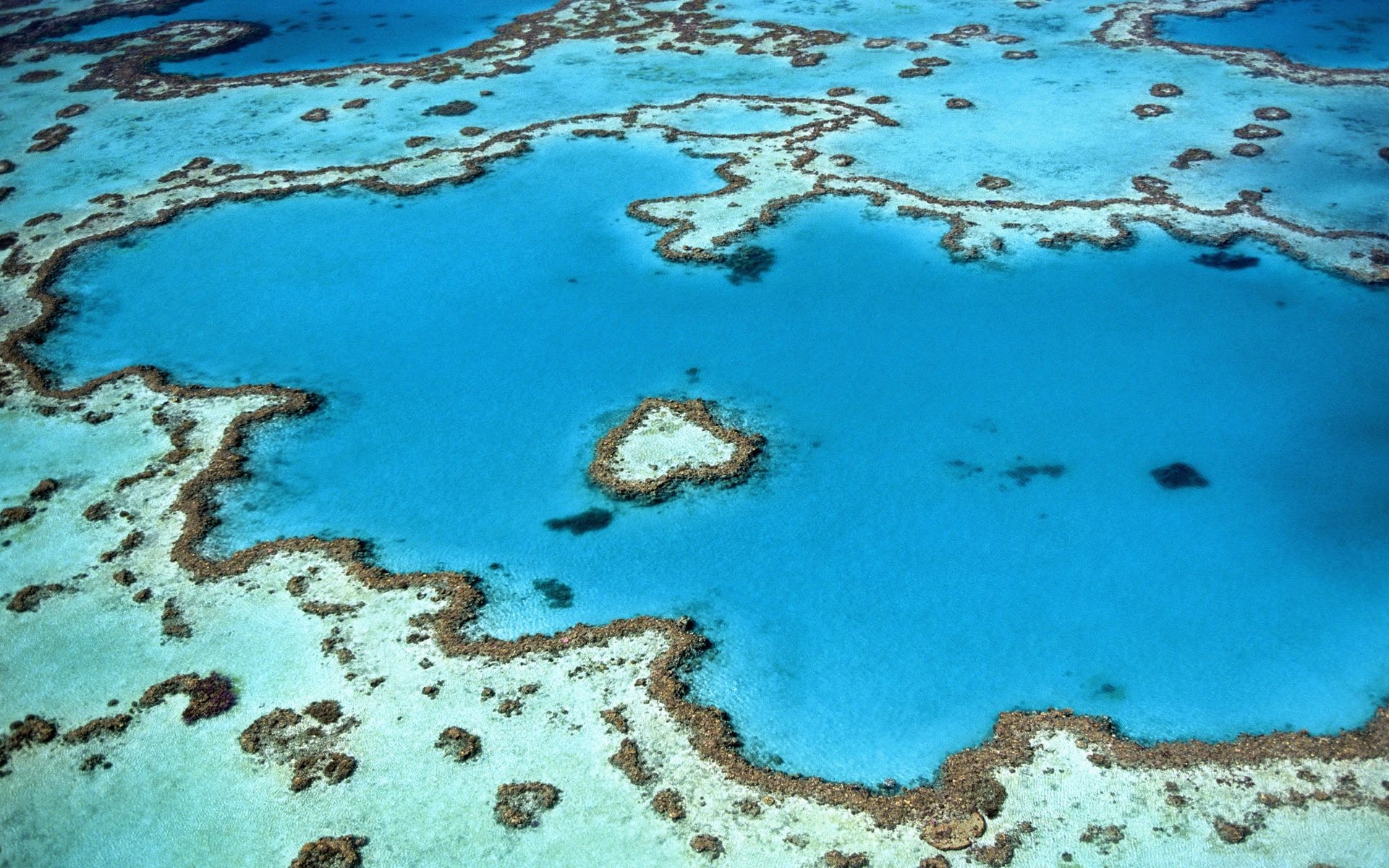Sunscreen, toxic oxybenzone and damage to the coral reefs