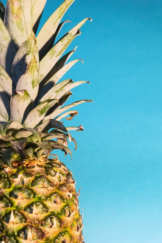 pineapple | Longevity LIVE