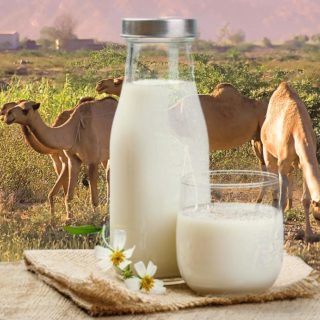 desert milk