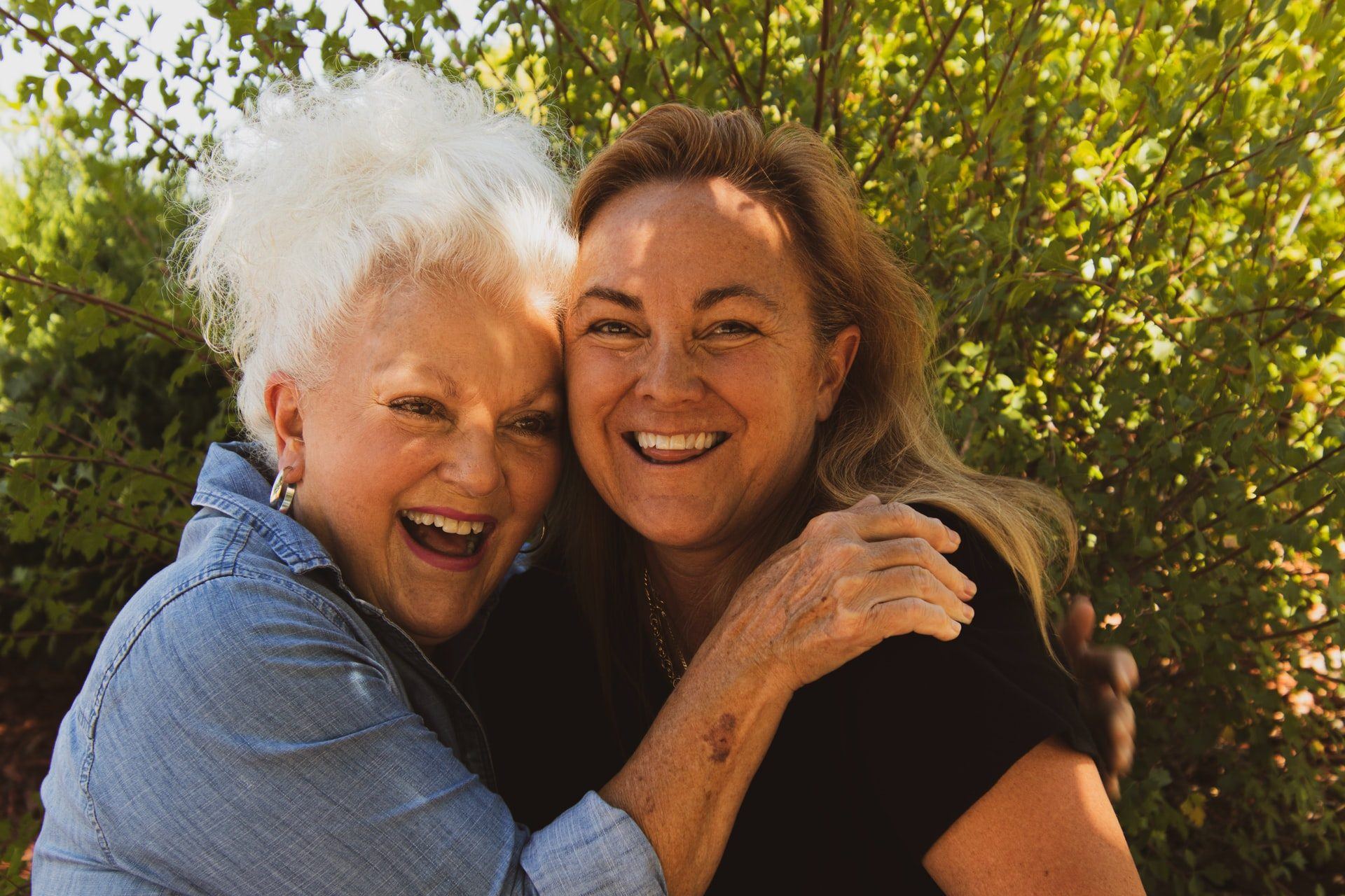 Senior Smiles | Dentist