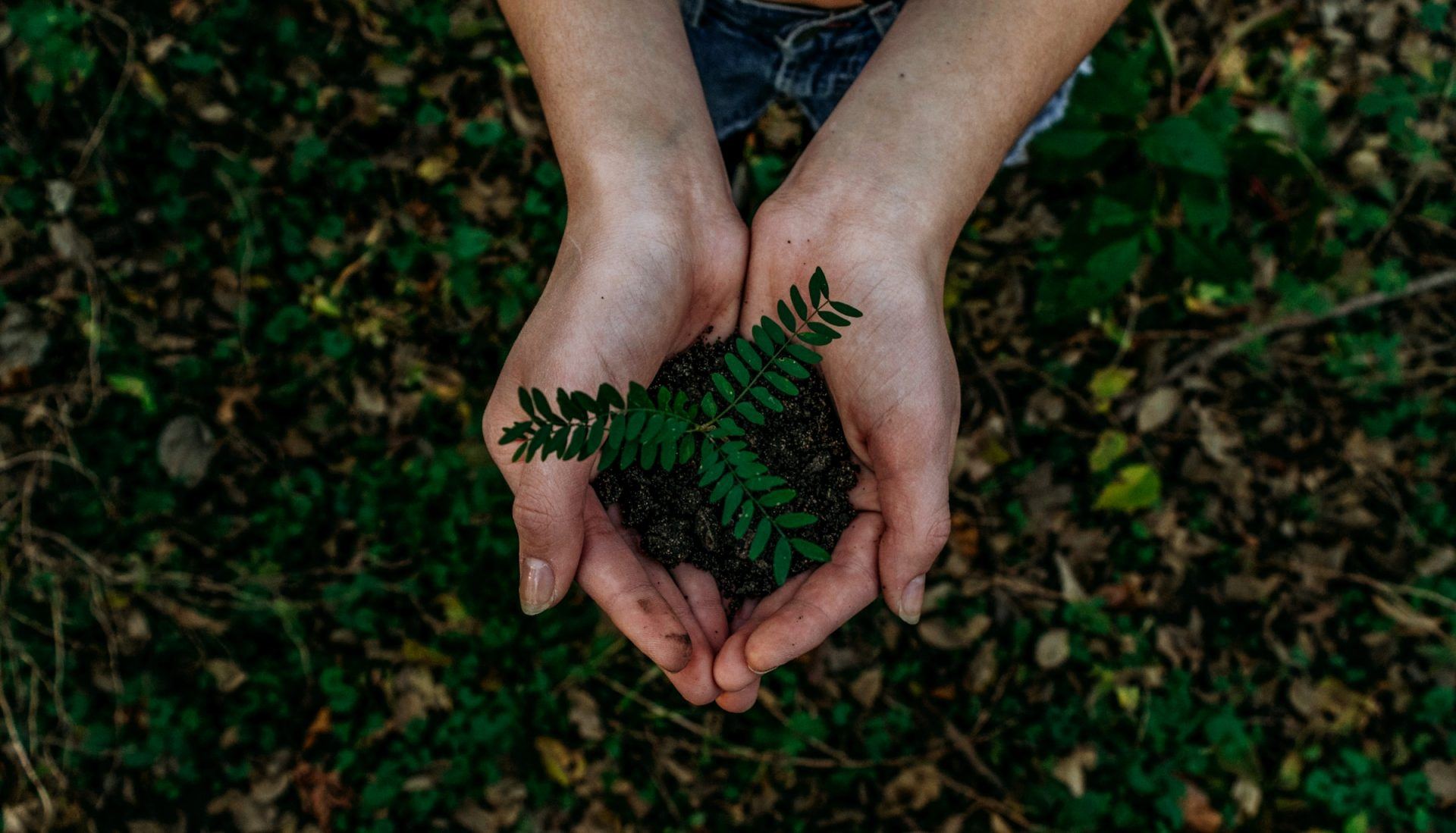 Giving Yourself a Sustainable Makeover That Benefits Your Wellness