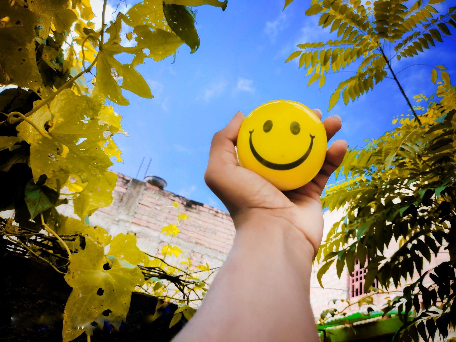 optimism