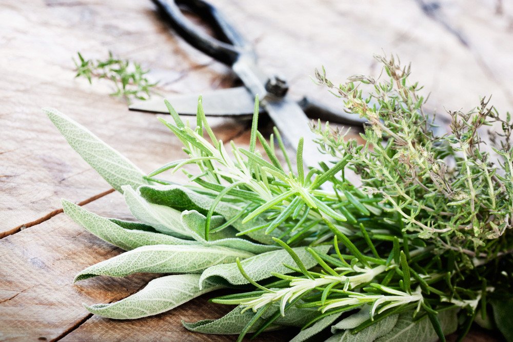 Sage And Rosemary: New Flavours Of Anti-Inflammatory