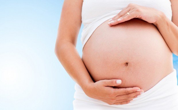 pregnancy Longevity LIVE