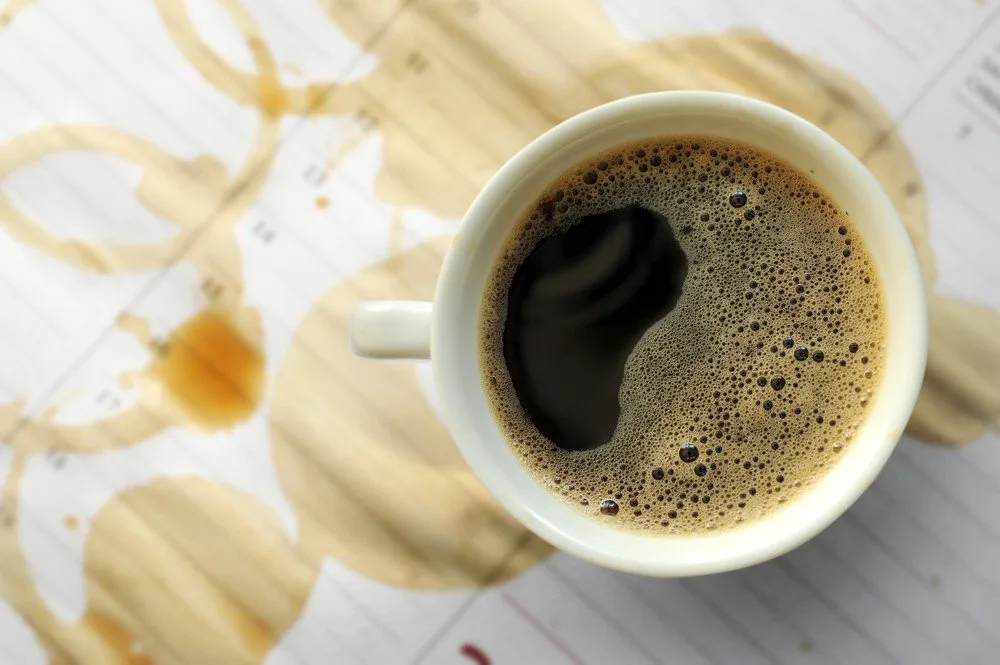 Could A Daily Cup of Coffee Be The Key To Longevity?
