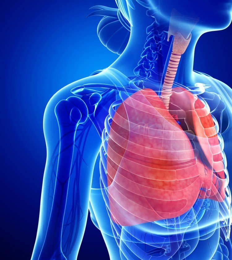 6 Best Breathing Exercises for Pulmonary Fibrosis Longevity LIVE