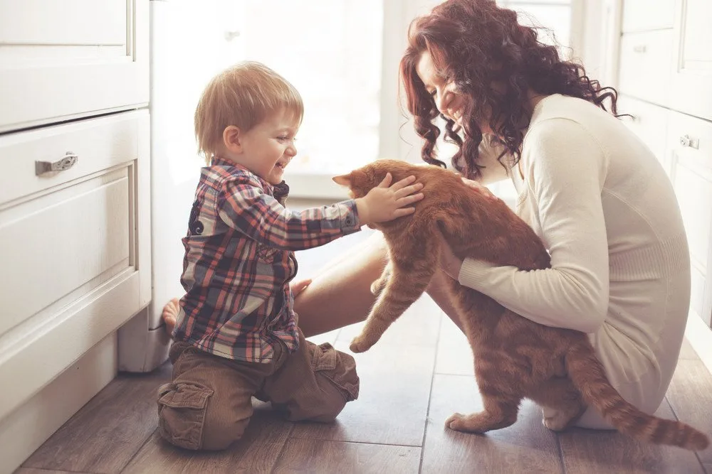16 Things Every Adult Needs To Develop