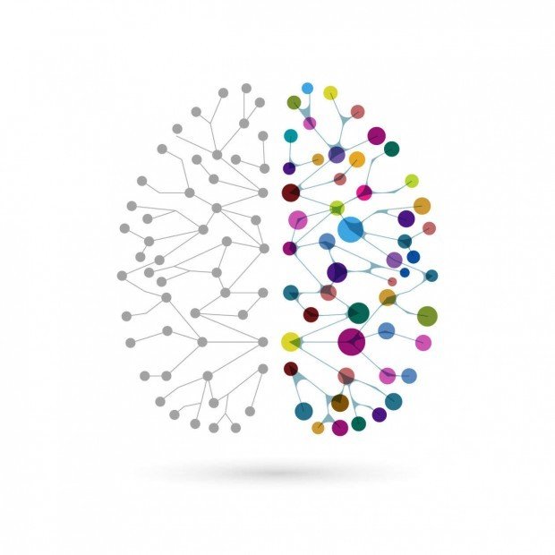 Digby Ormand Brown talks about the Brain | Longevity Live