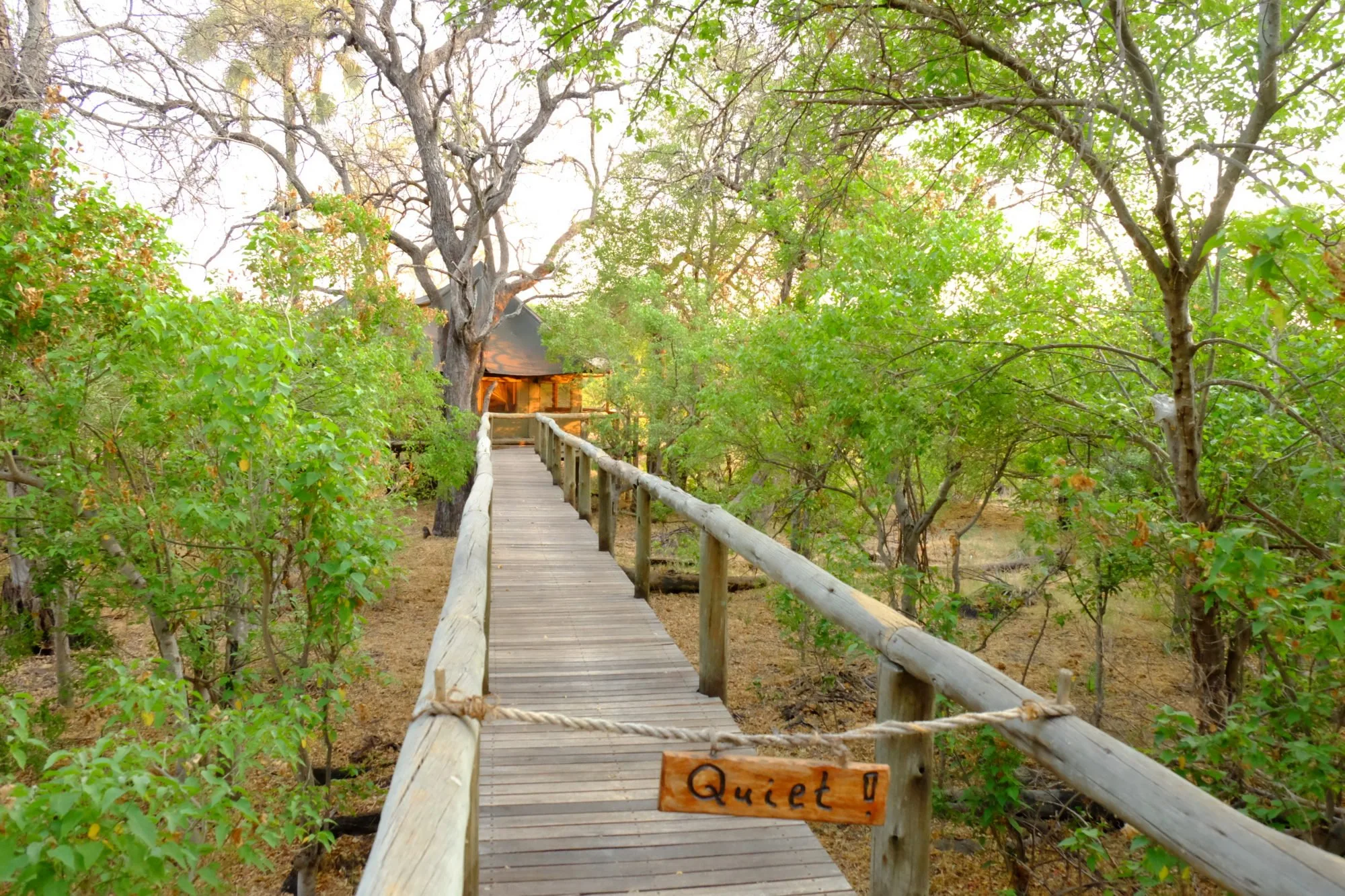 Exploring Ecotourism In The Okavango Delta