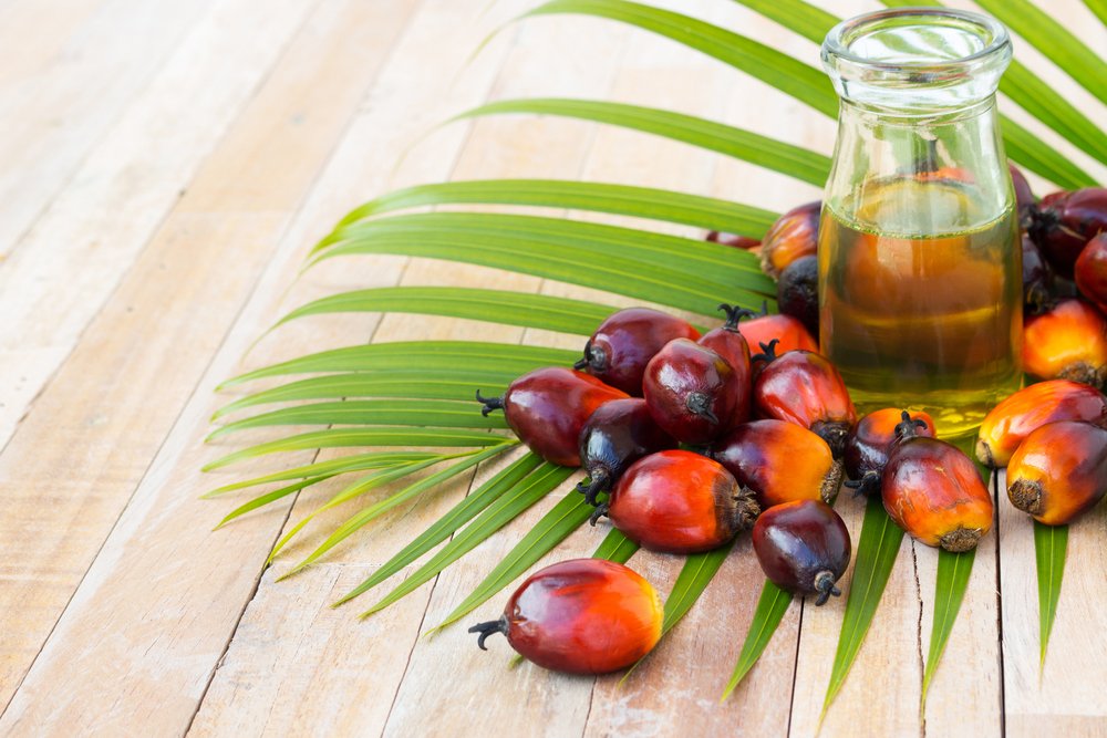 Palm Oil: Is It A Healthier Choice? - Longevity LIVE