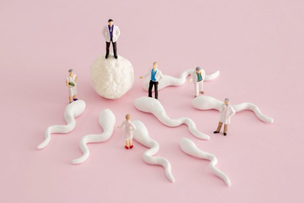 fertility | Longevity LIVE