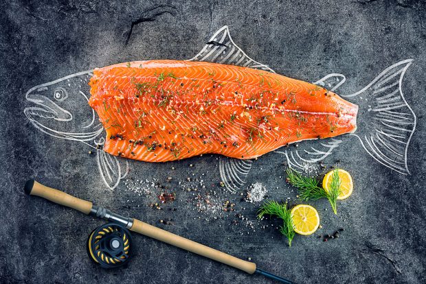 salmon or frankenfish | Longevity Live