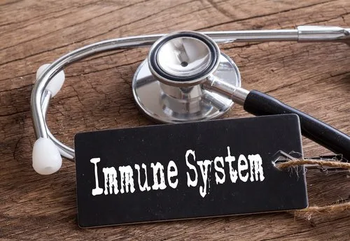 Boosting Immunity Across Seasons: Adapting Your Wellness Routine