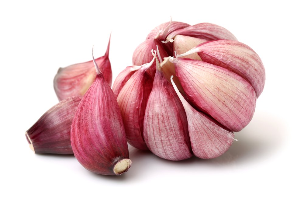 garlic | Longevity Live