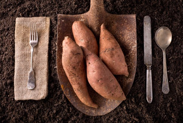 healthy sweet potato | Longevity Live