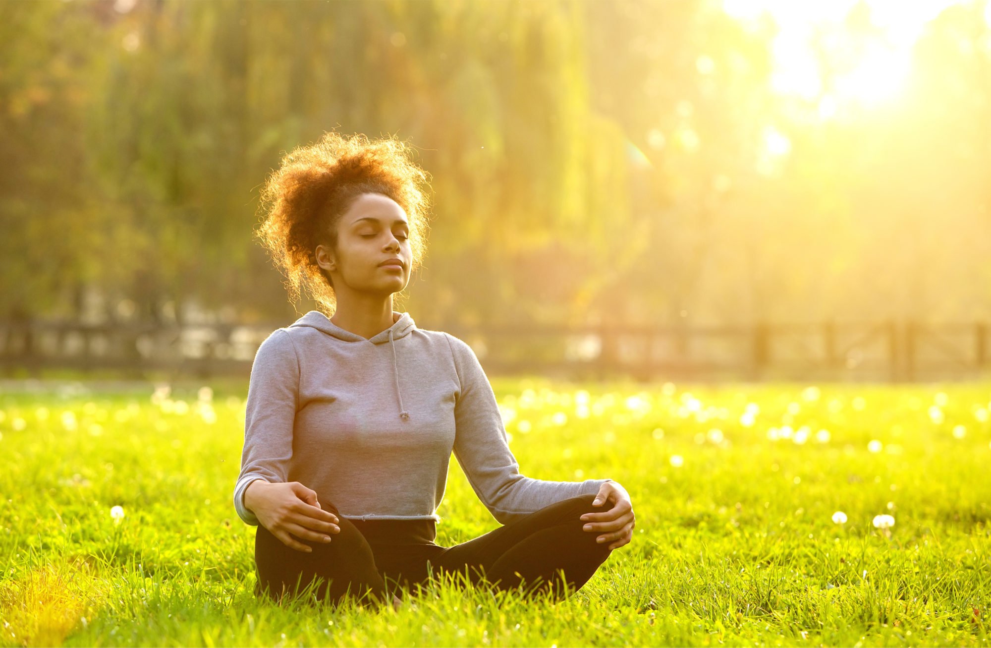 mindfulness and meditatio | Longevity LIVE