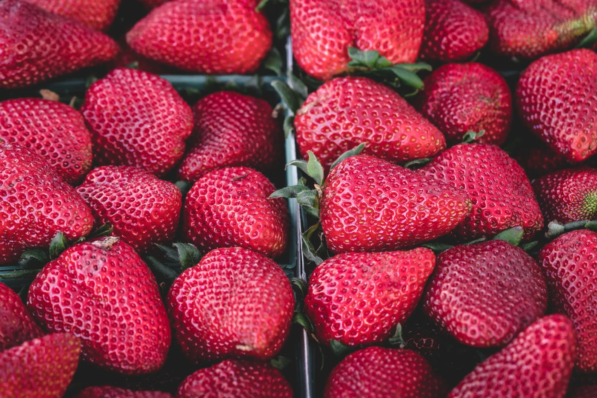 Strawberries Secret: Can They Be Key To Gut Health?