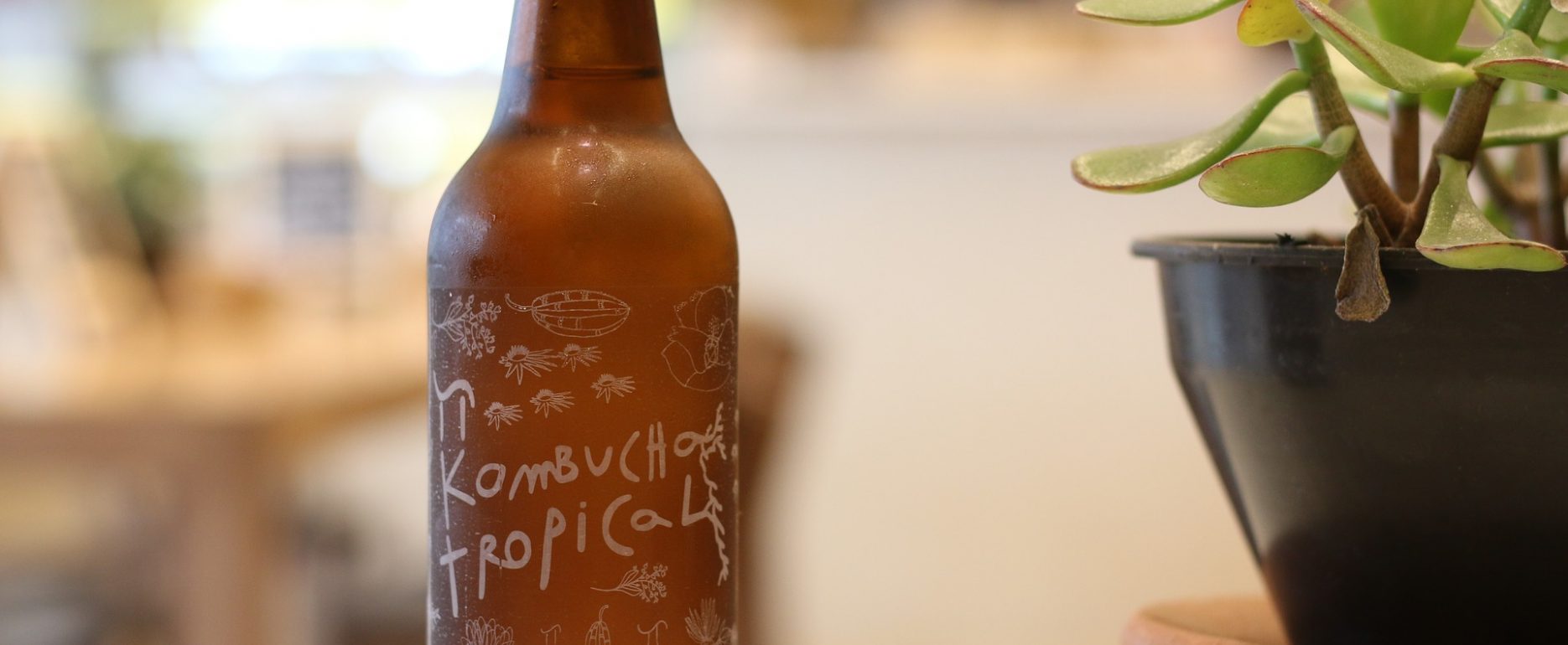 kombucha | Longevity LIVE
