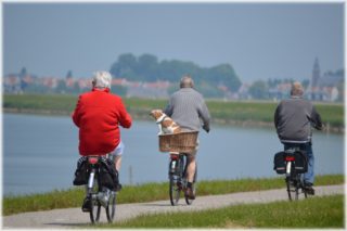 exercise cycle for senior citizens