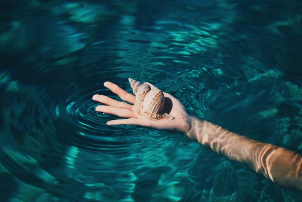 health | Longevity LIVE