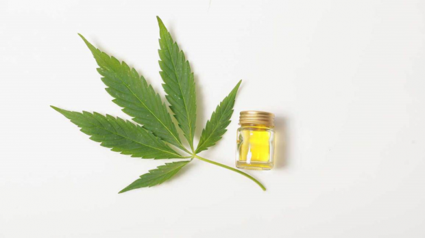 cannabis leaf with cbd oil