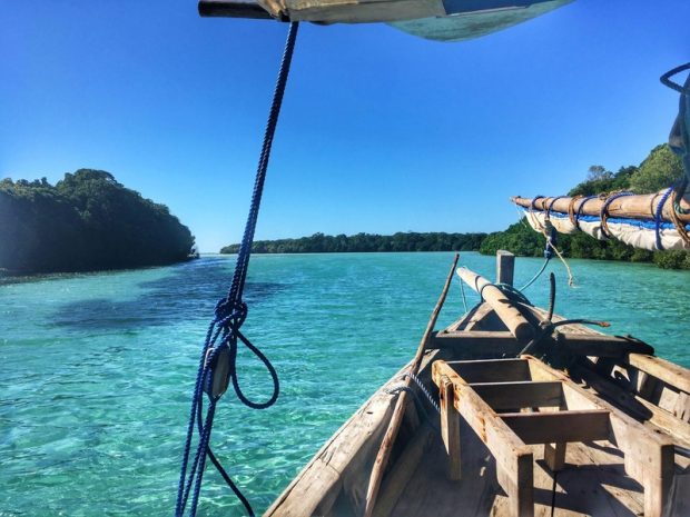 short-term | Longevity LIVE