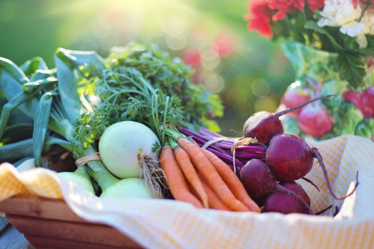 Plant Fall Vegetables You Can Eat Before Winter Hits