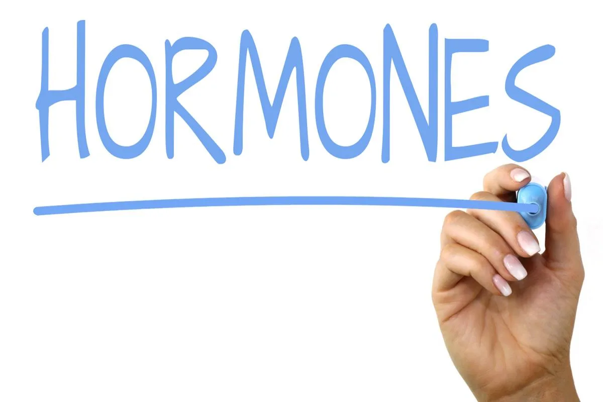 Endocrine Disruptors: Avoid These 8 To Protect Your Hormones