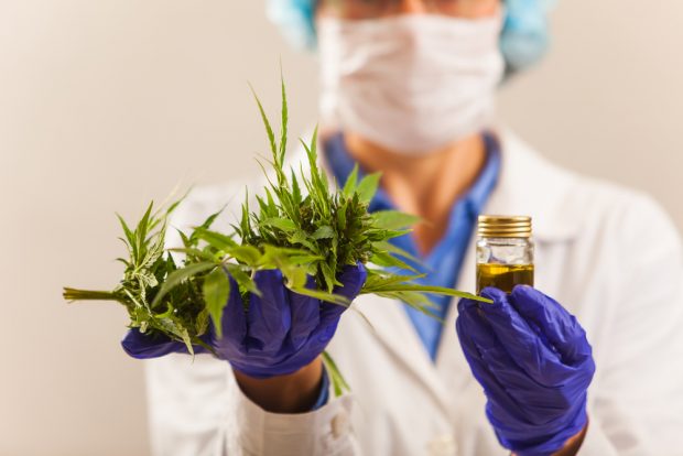 THC-Free | Longevity LIVE