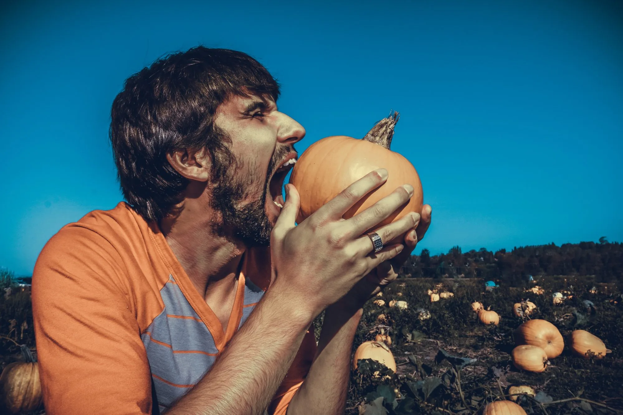 Men’s Health Improves Significantly By Eating Pumpkins