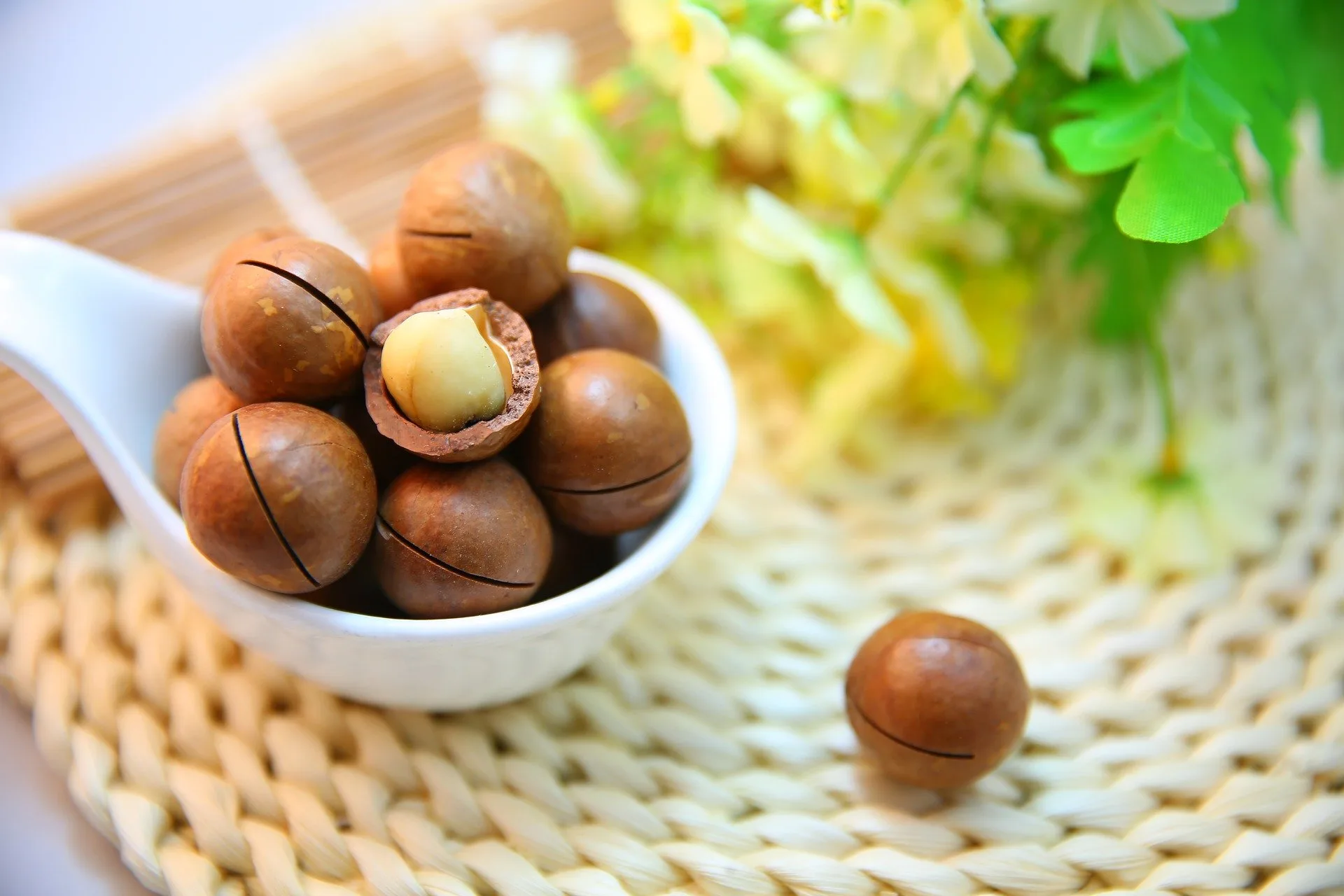 The Top 5 Best Benefits of Macadamia Nuts
