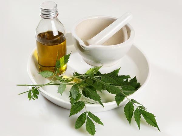 Natural Neem For Good Health And Longevity