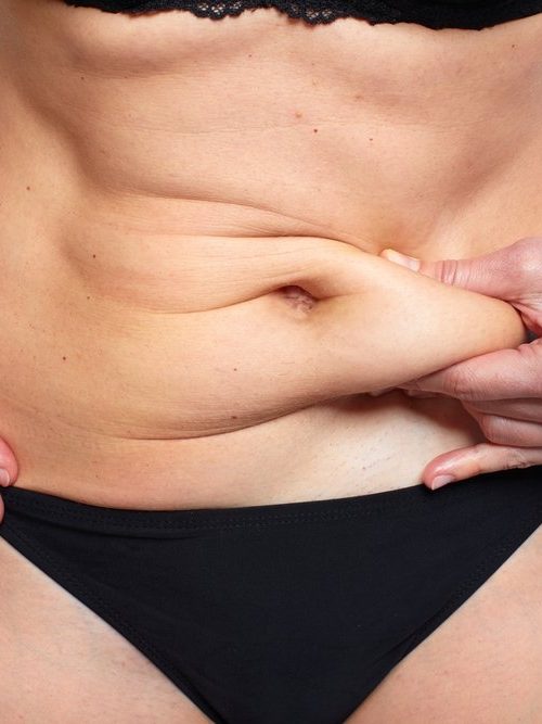 Visceral Fat Longevity LIVE