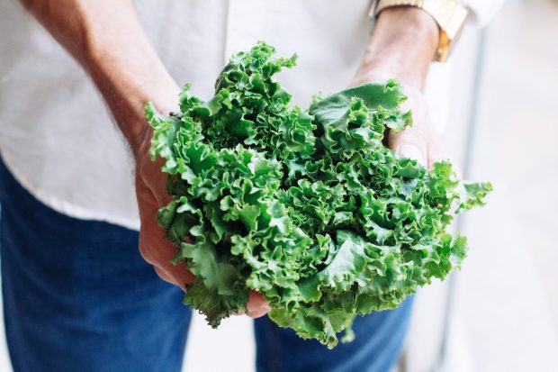 kale | Longevity LIVE