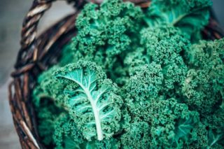 Kale | Longevity LIVE