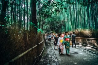forest bathing in Japan [longevity live]