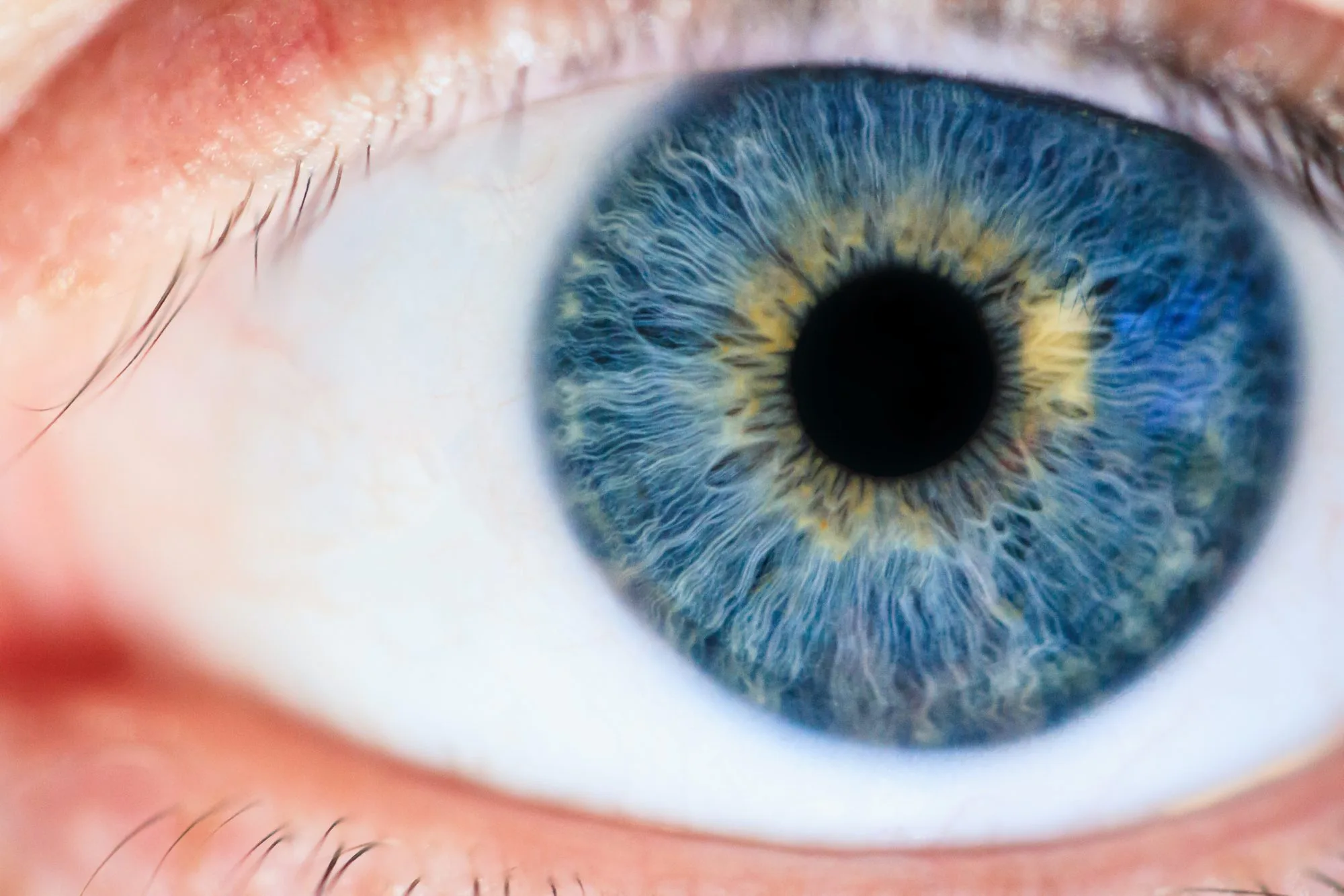 What Iridology And Sclerology Reveal About Your Eye Health