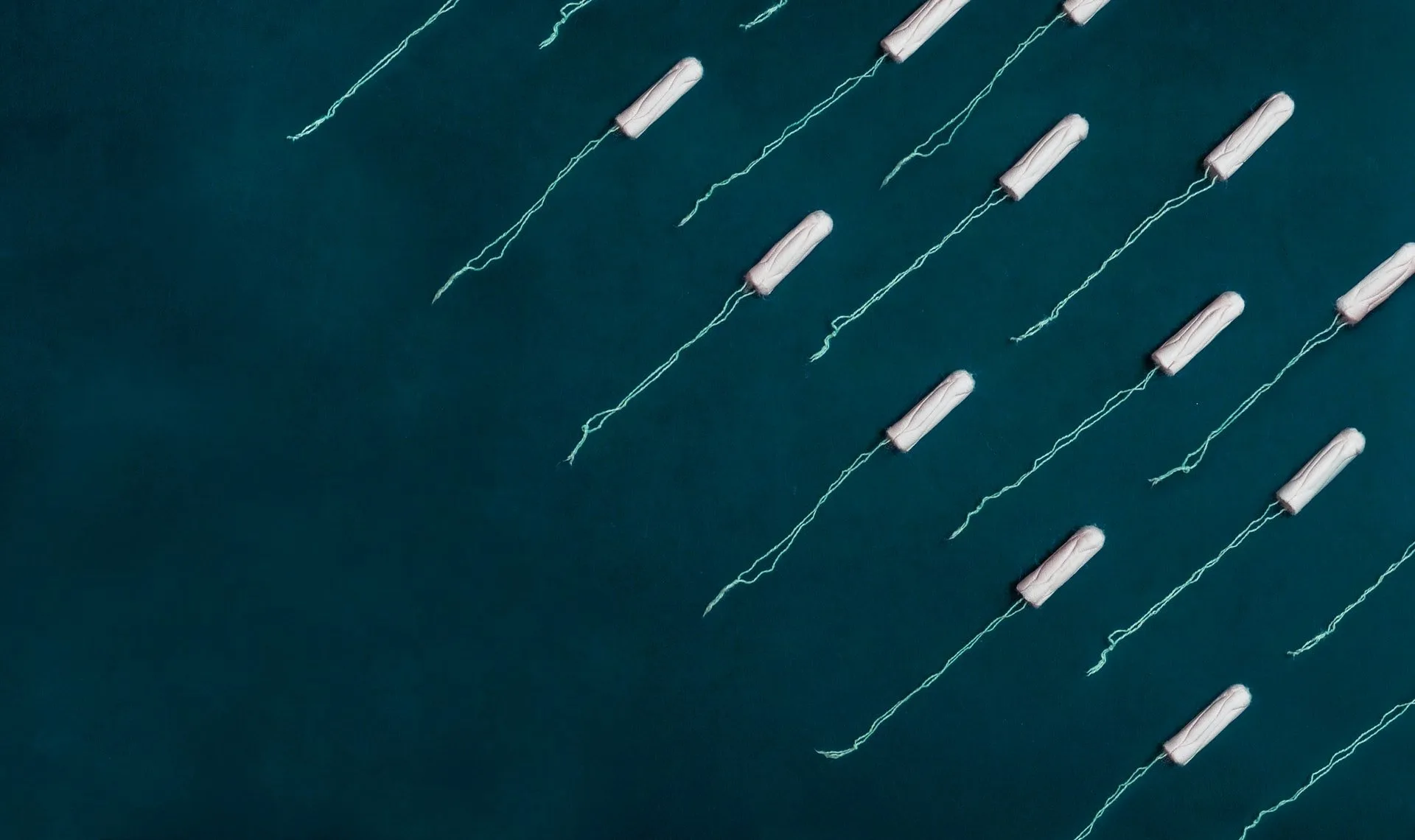 period | Longevity LIVE