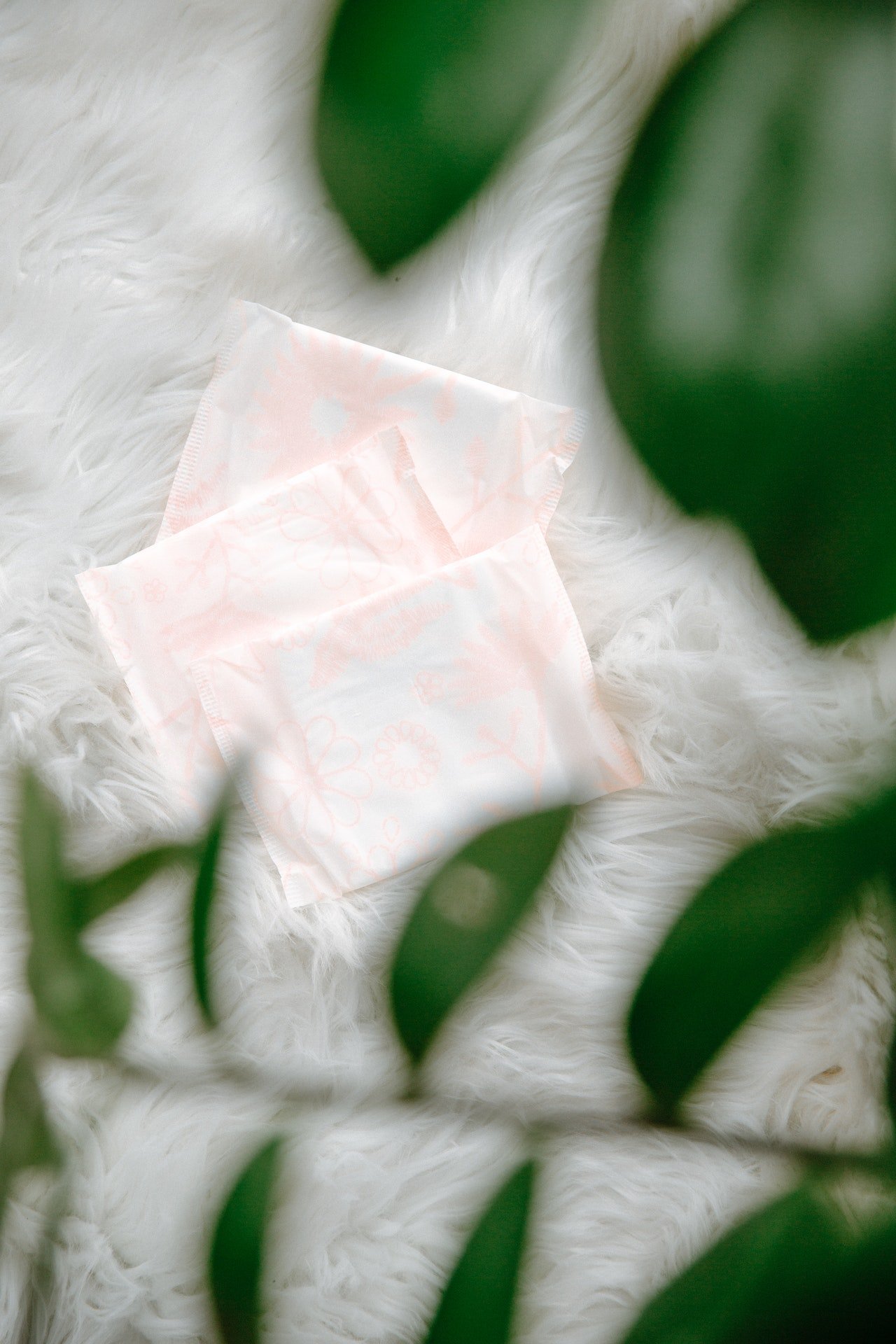 pads | Longevity LIVE