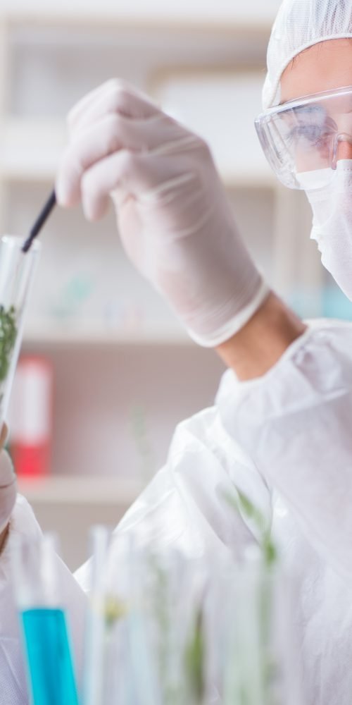 Medical cannabis | Longevity LIVE