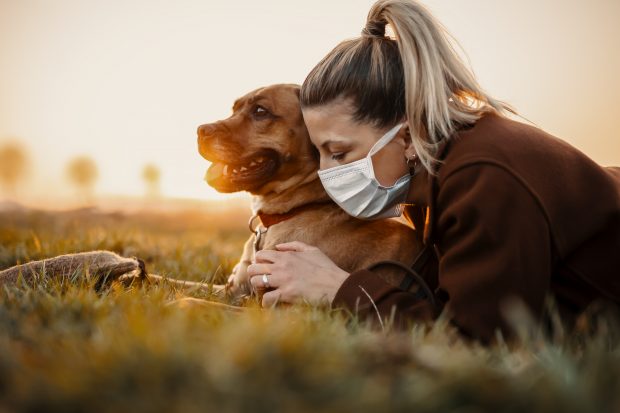 dog aging | Longevity LIVE