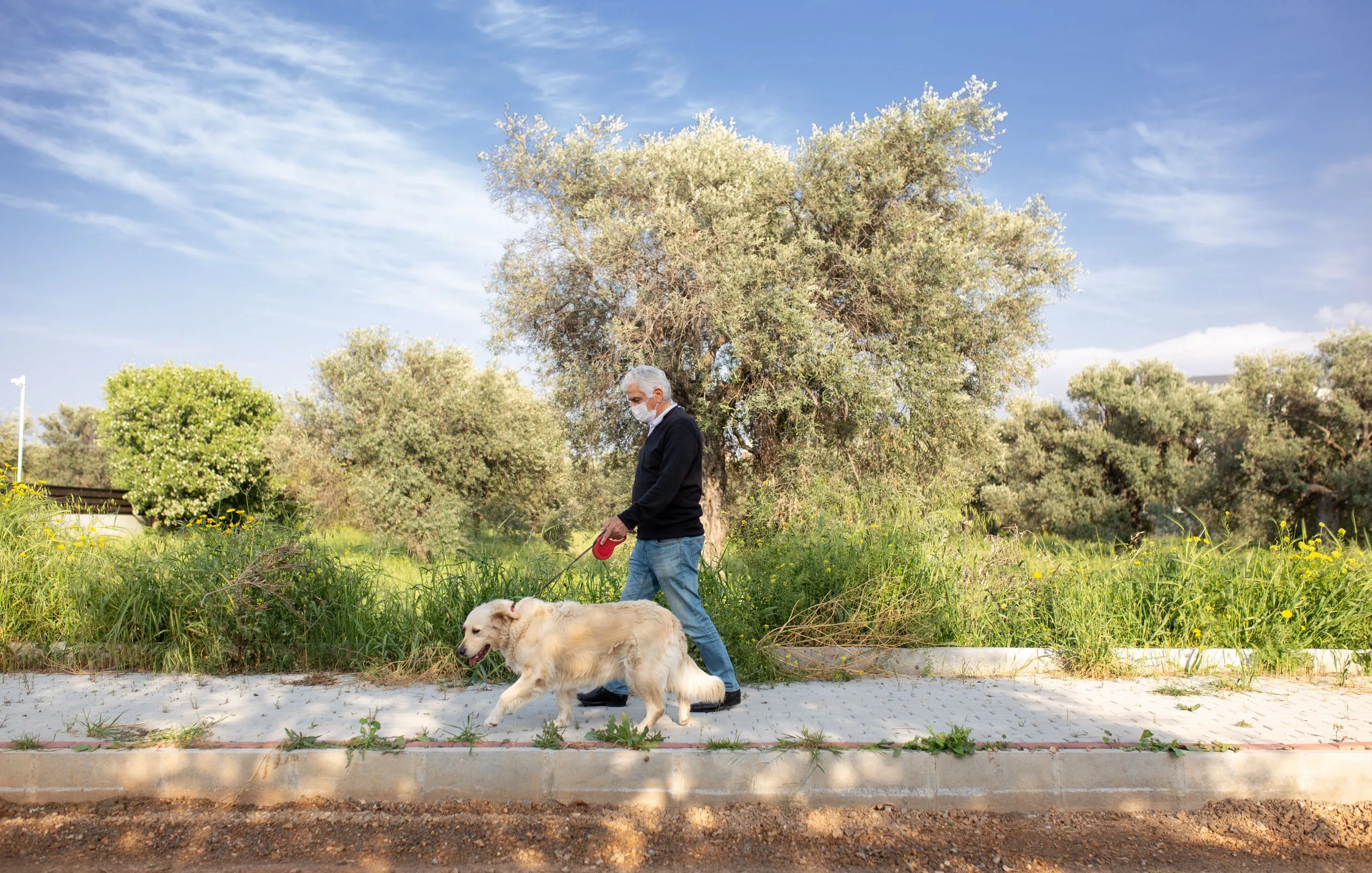 pets | Longevity LIVE