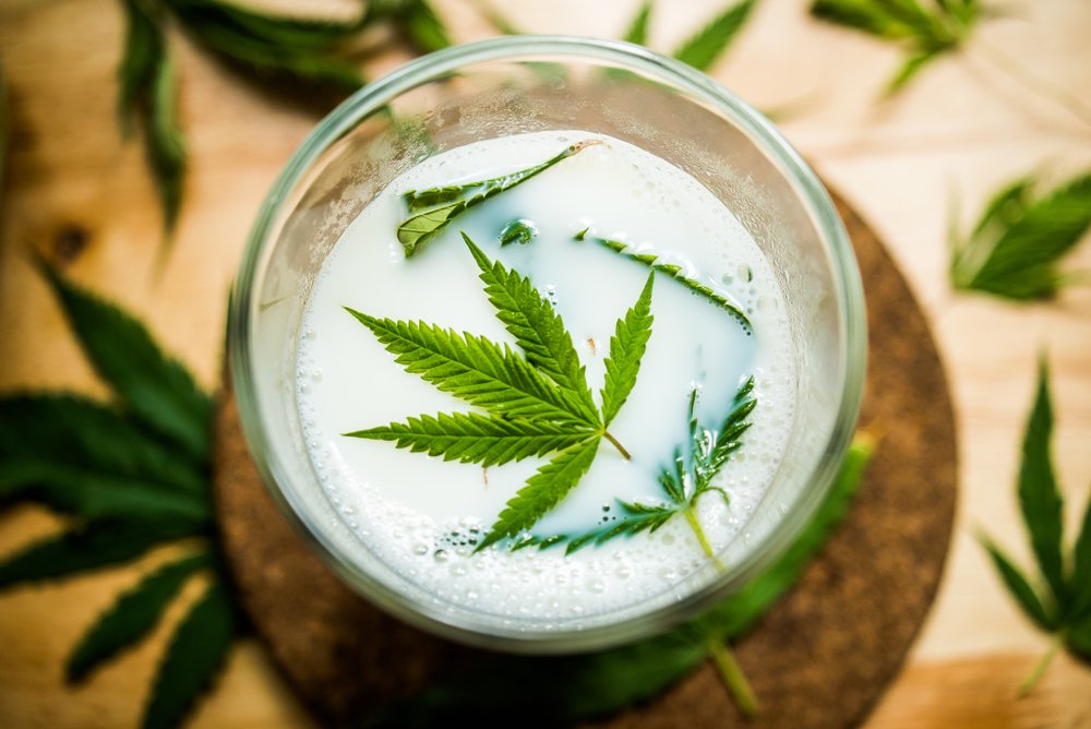 cannabis milk | Longevity LIVE