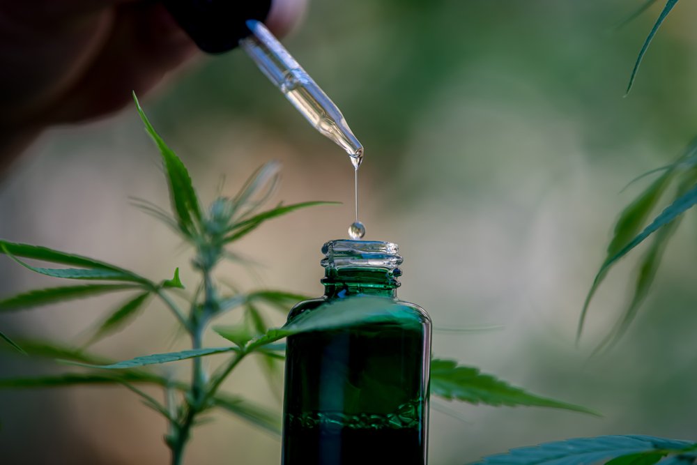 I Took CBD For Two Weeks. Here’s How It Made Me Feel