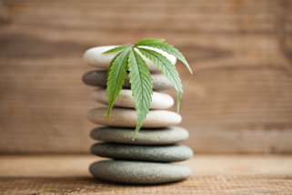 CBD Self-Care and Other Satisfying Practices