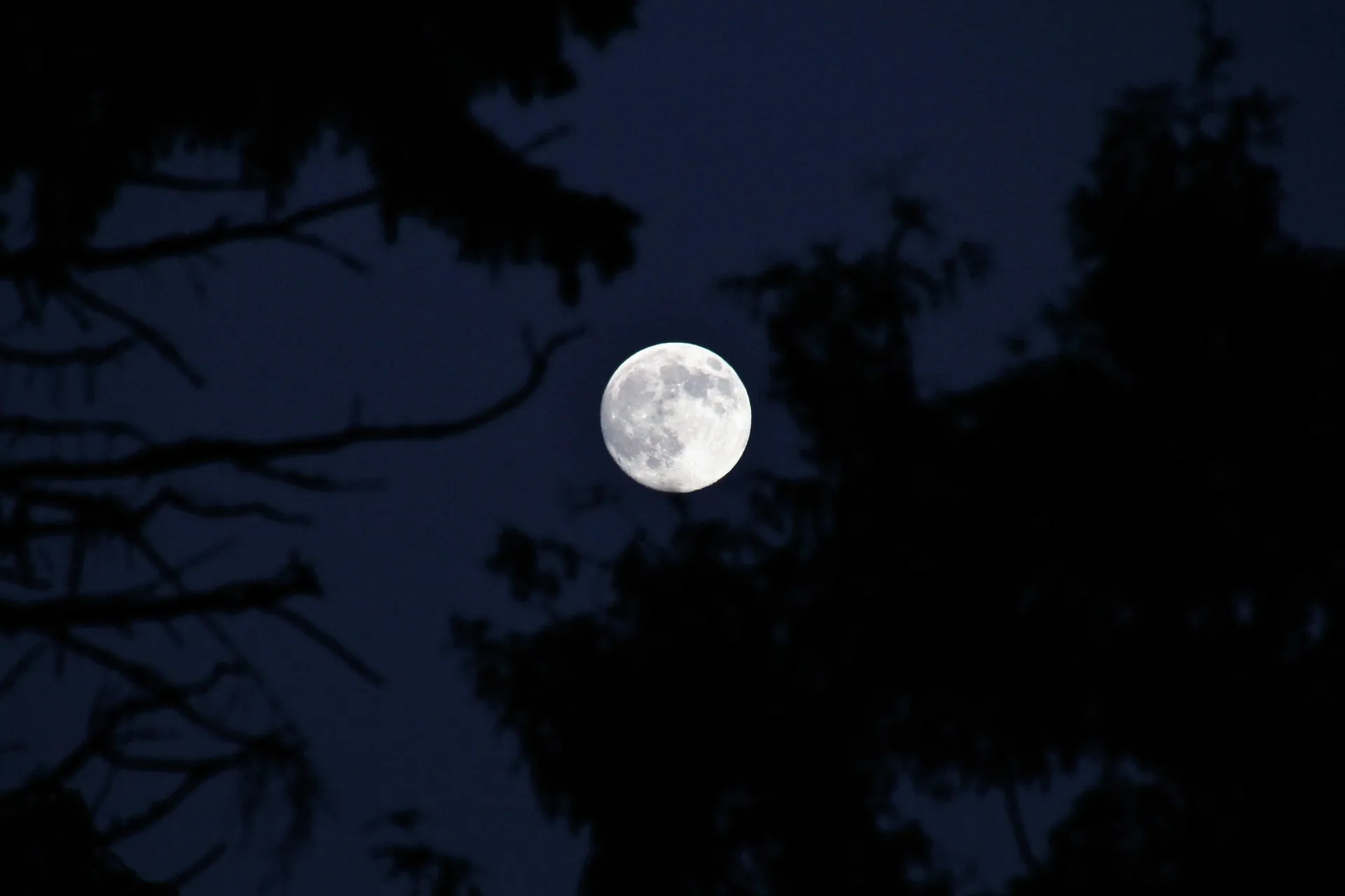 moon