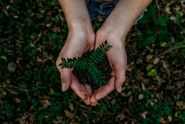 sustainable
