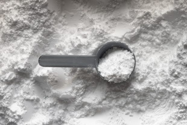 whey protein