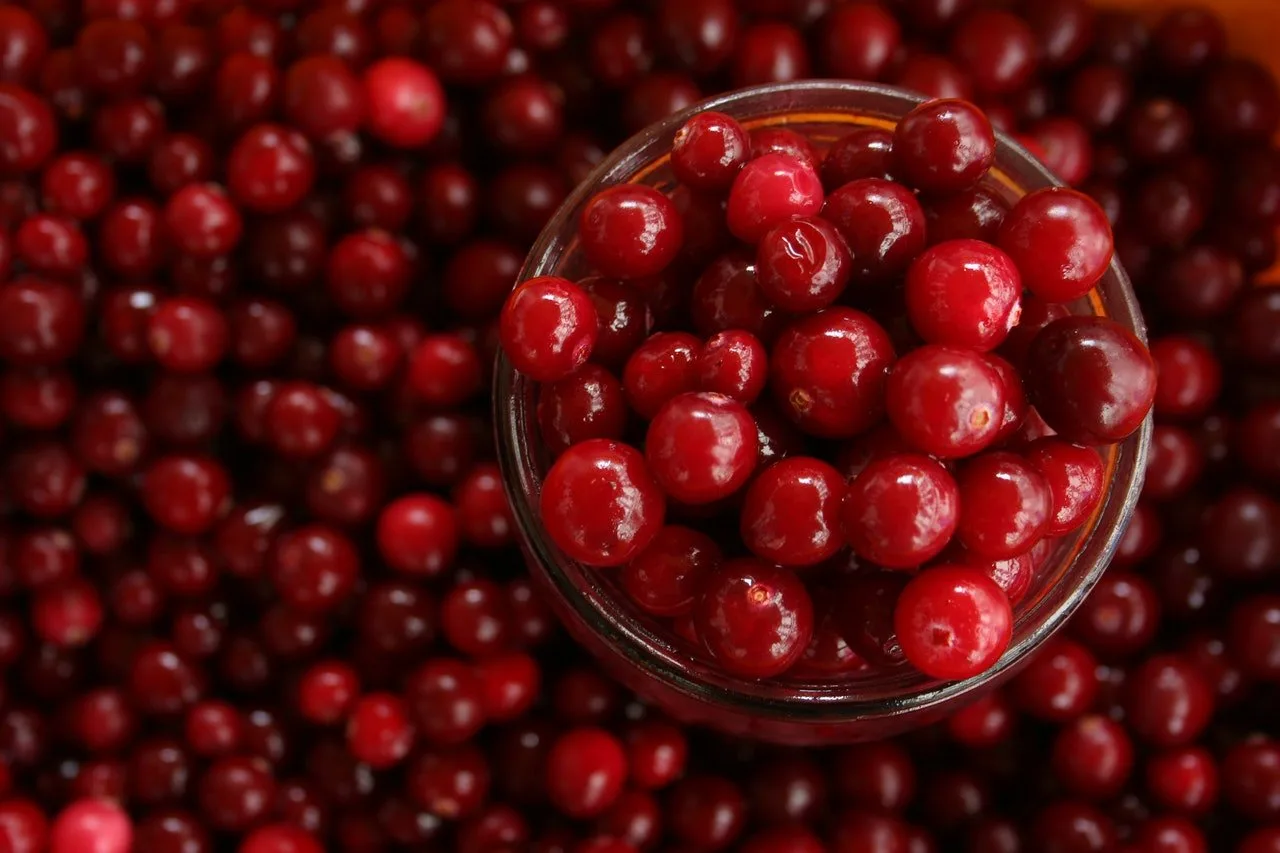 Should Women Drink More Cranberry Juice?