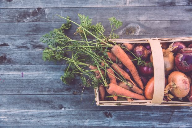 sustainable food